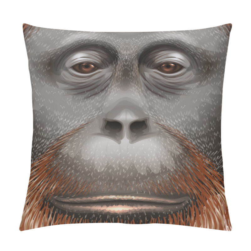 Personality  An Orangutan Pillow Covers