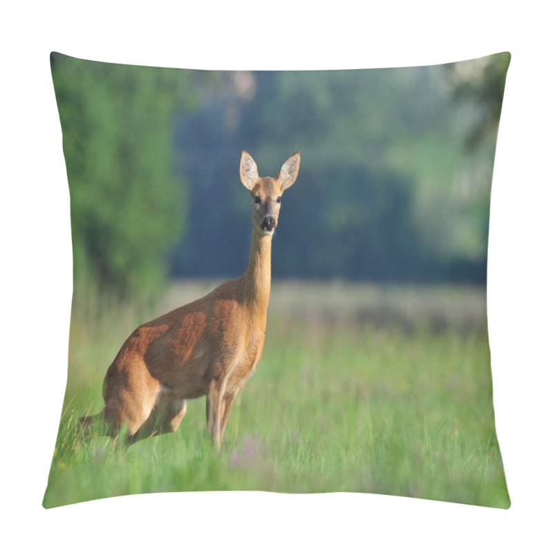 Personality  Roe Deer Pillow Covers