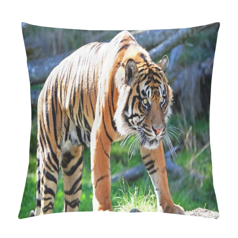 Personality  Royal Bengal Tiger Pillow Covers