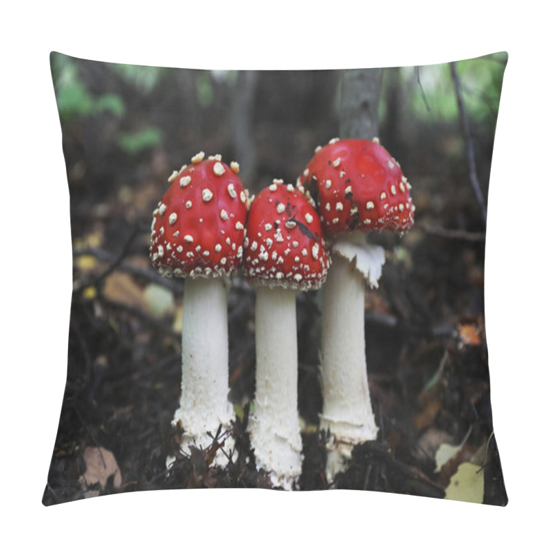 Personality  Fresh Wild Mushrooms Growing In Forest, Closeup Pillow Covers