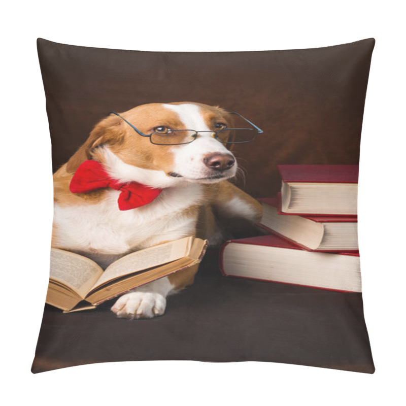 Personality  Cute Mixed Breed Dog Posing As An Intellectual Pillow Covers