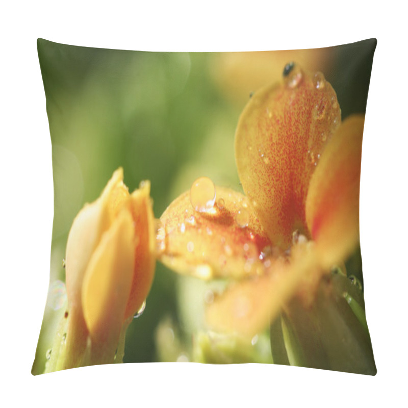 Personality  Beautiful Wild Flower. Pillow Covers