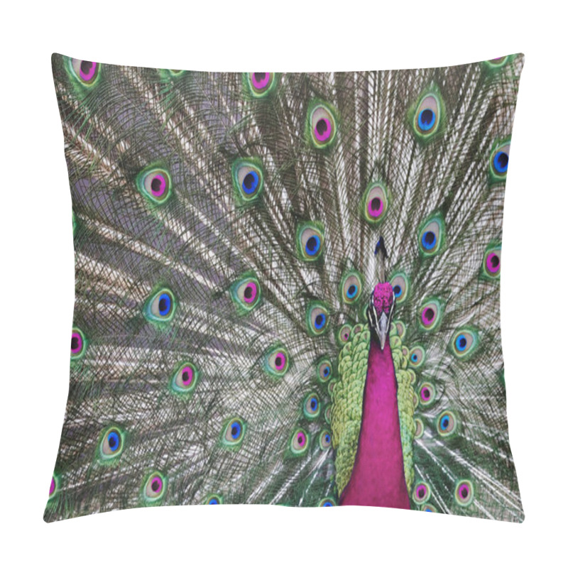 Personality  Psychedelic Peacock Pillow Covers