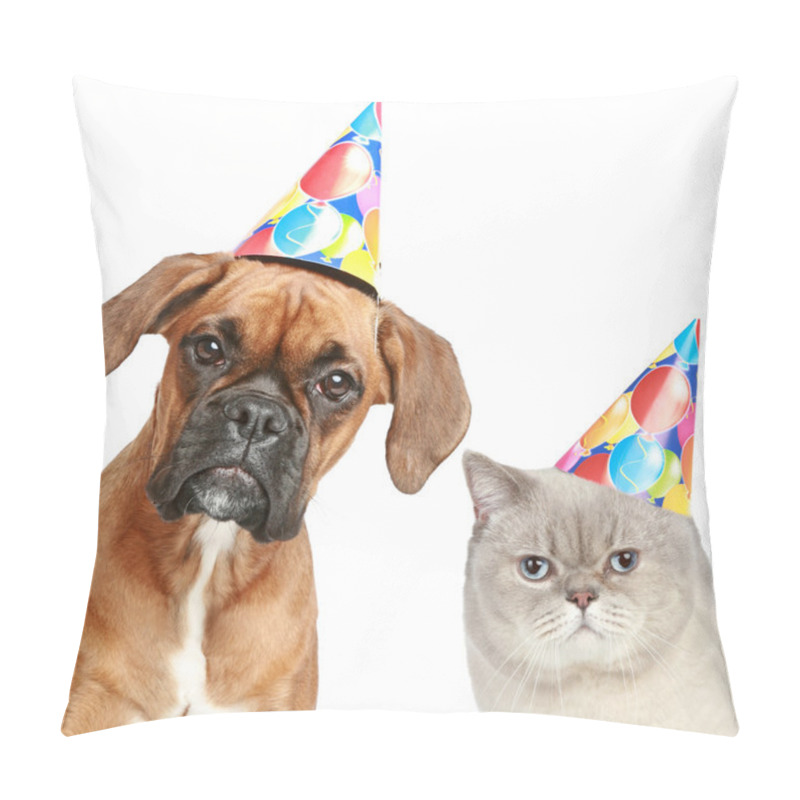 Personality  German Boxer And Cat In Party Cone Pillow Covers