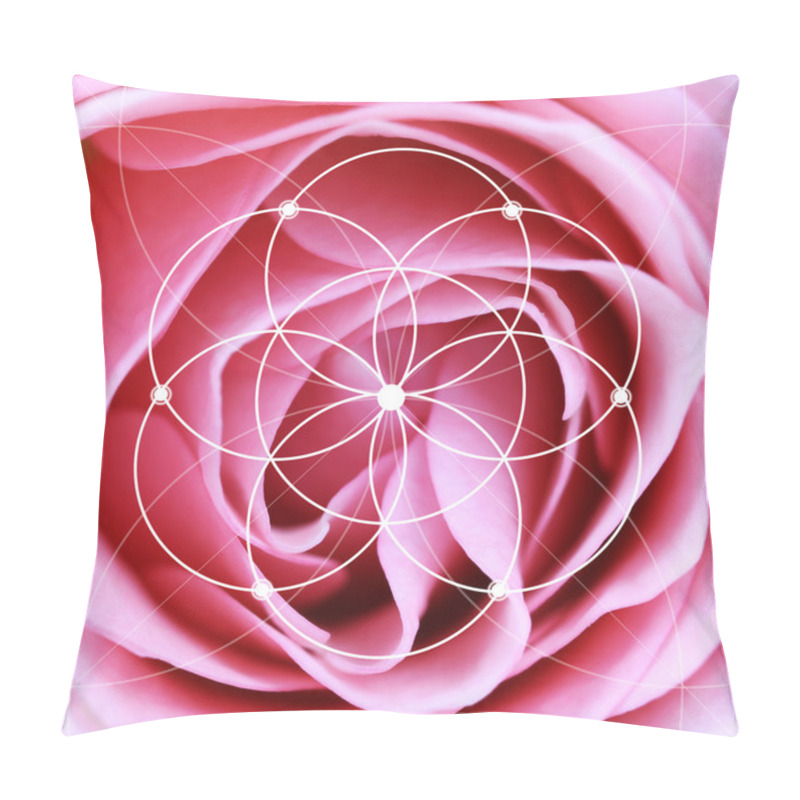 Personality  Spiral Arrangement In Nature Pillow Covers