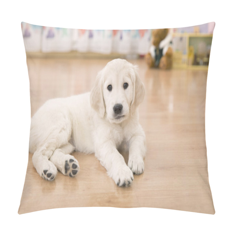 Personality  Golden Retriever Puppy Pillow Covers