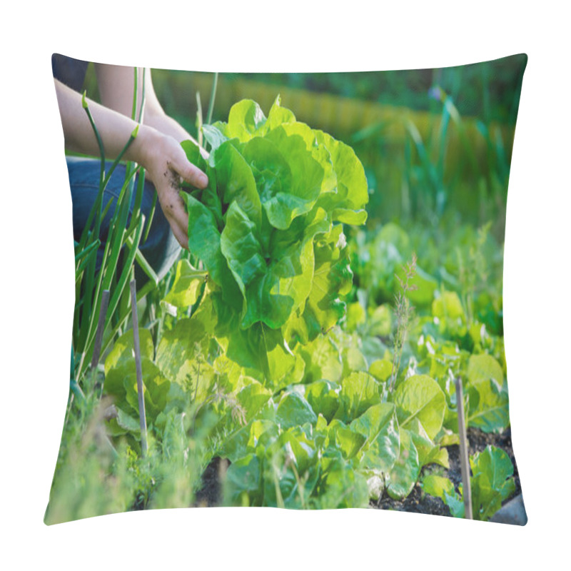 Personality  Picking Vegetables Pillow Covers