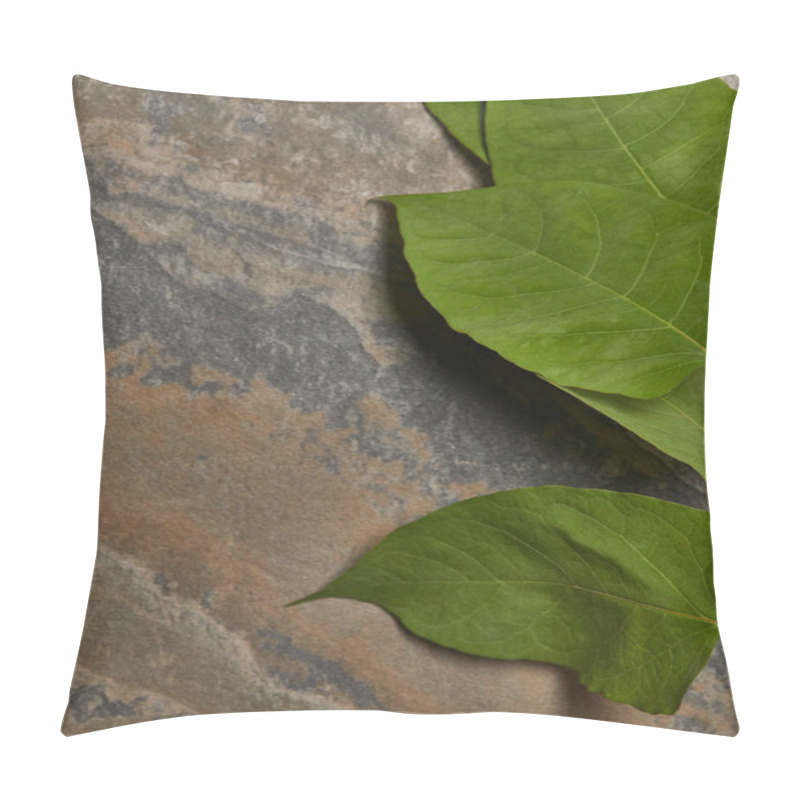 Personality  Green Fresh Leaves On Stone Background With Copy Space Pillow Covers