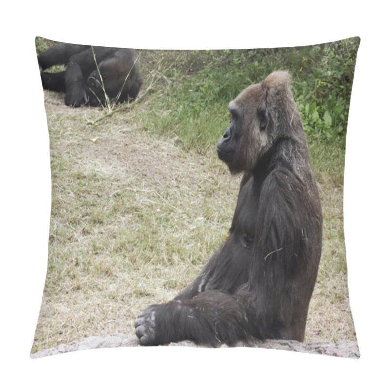 Personality  Western Lowland Gorilla Pillow Covers