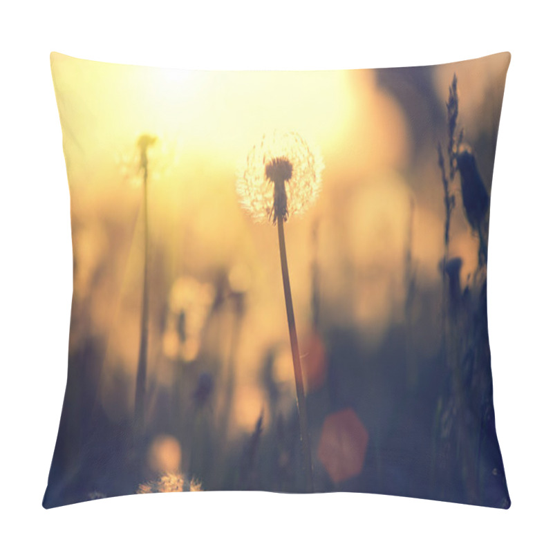 Personality  Dandelion Field Over Sunset Pillow Covers