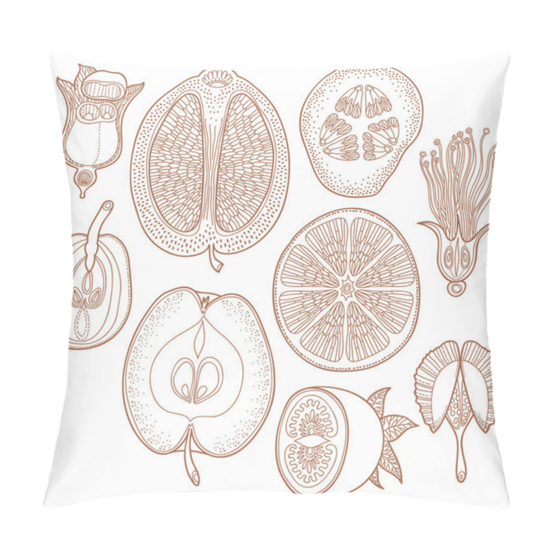 Personality  Hand Drawn Fruits Pillow Covers