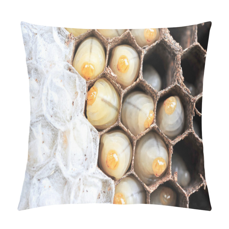 Personality  Wasps Nest  Pillow Covers