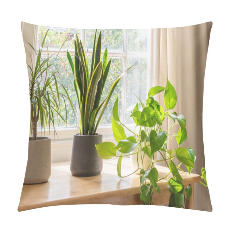 Personality  House Plants In The Window Inside A Beautiful New Home Or Flat Pillow Covers