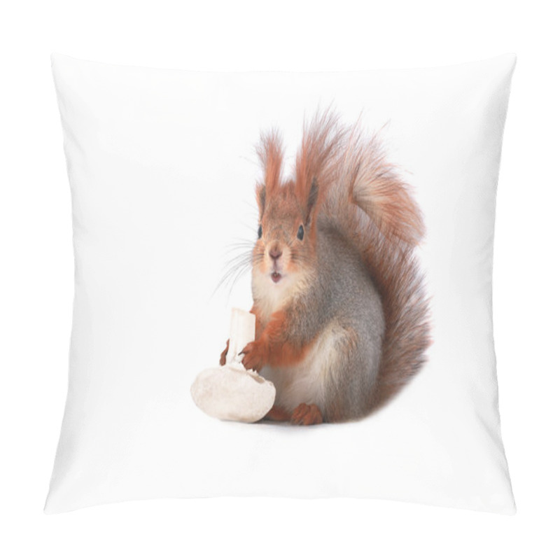 Personality  Squirrel Pillow Covers