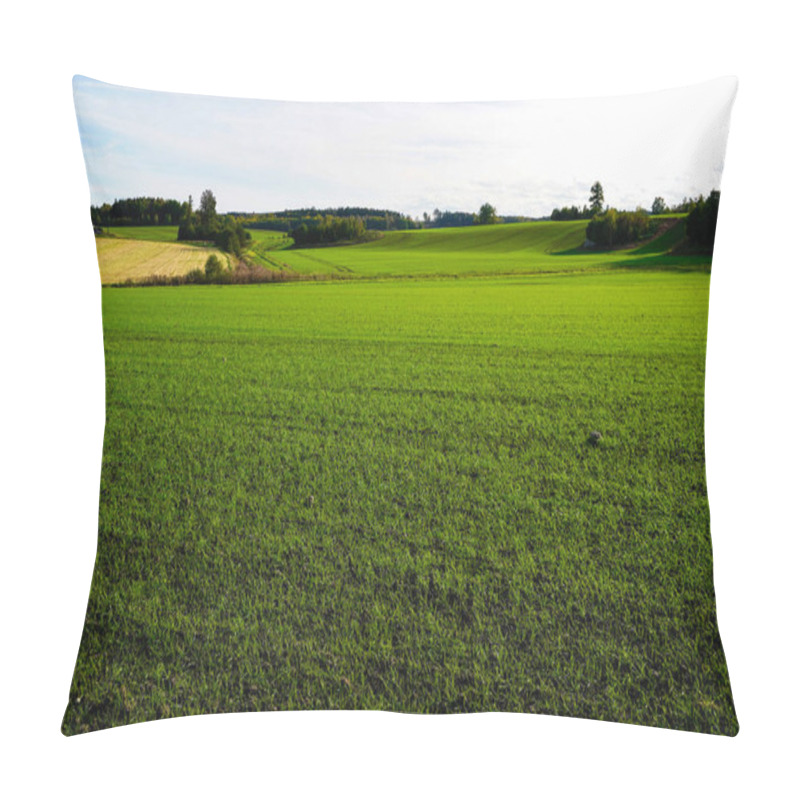 Personality  Scenic View Of Field Against Sky Pillow Covers