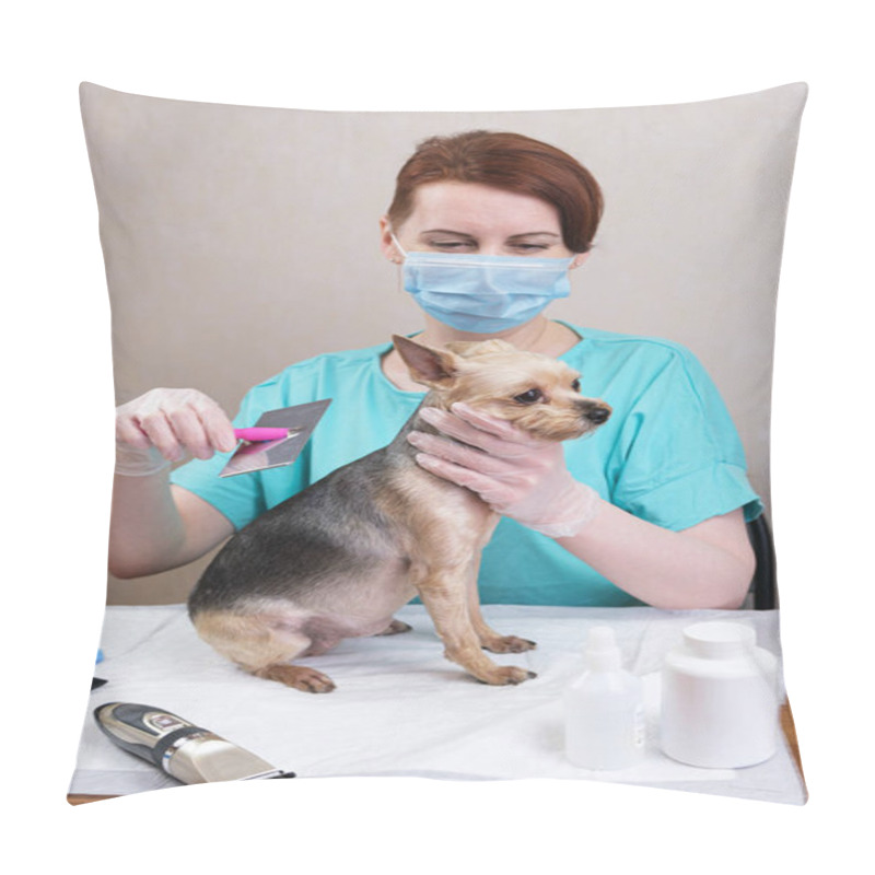 Personality  Groomer Woman With Red Hair In A Medical Mask Is Combing The Wool Of A Yorkshire Terrier Dog With A Metal Brush. Care For Pedigree Dogs, Getting Rid Of Tangles, Hygiene Procedures, Grooming. Pillow Covers