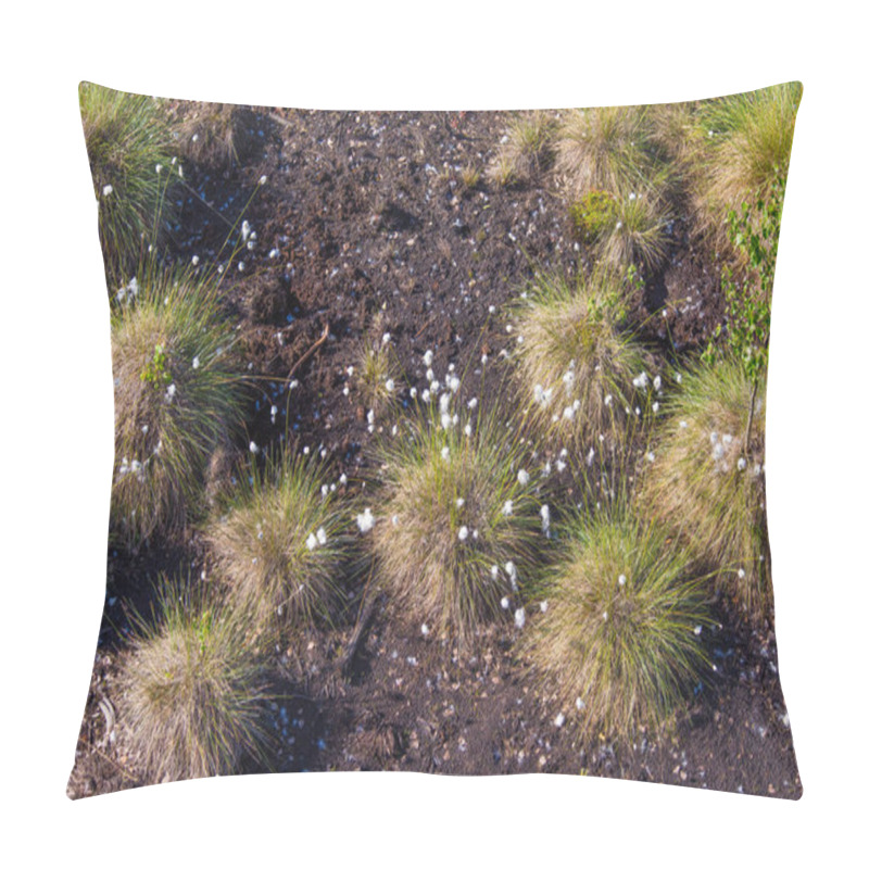 Personality  Cottongrass Growing In A Natural Swamp Habitat. Grass Clumps In The Weltalnds On Latvia, Northern Europe. Pillow Covers