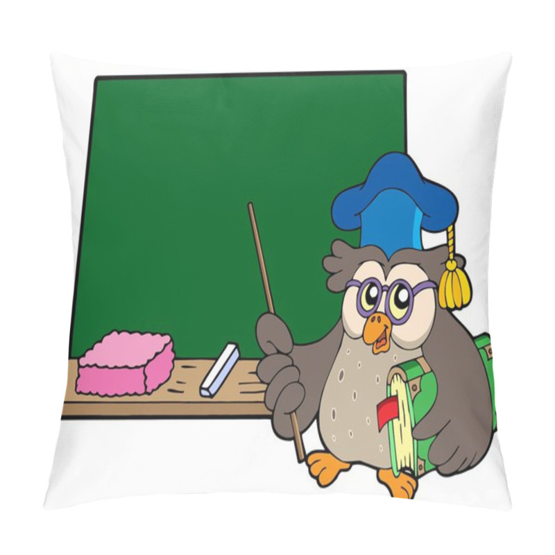 Personality  Owl Teacher With Book And Blackboard Pillow Covers