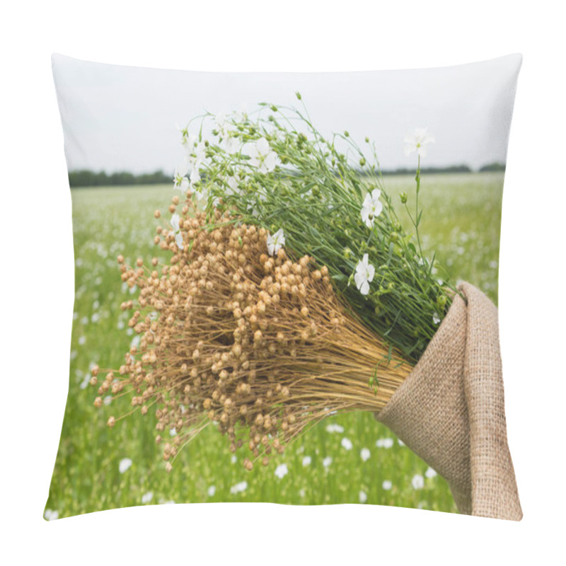 Personality  A Dry Bouquet Of Flax And A Bouquet Of Green Flax Plants, In Linen Fabric, Against The Background Of A Field Of Flowering Flax Pillow Covers