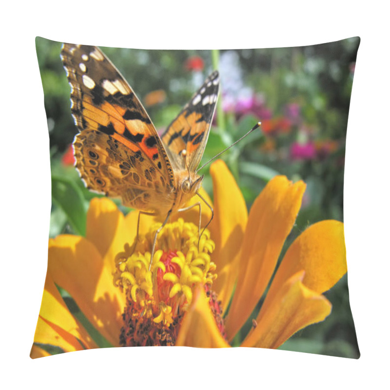 Personality   Close-up Of A Monarch Butterfly Pillow Covers