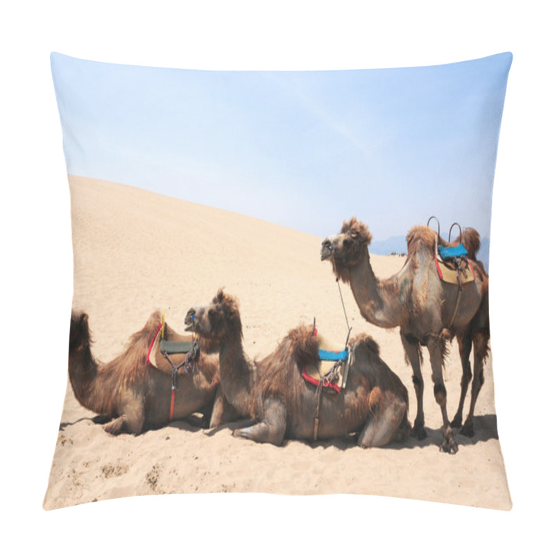 Personality  Camels In The Deserts Pillow Covers