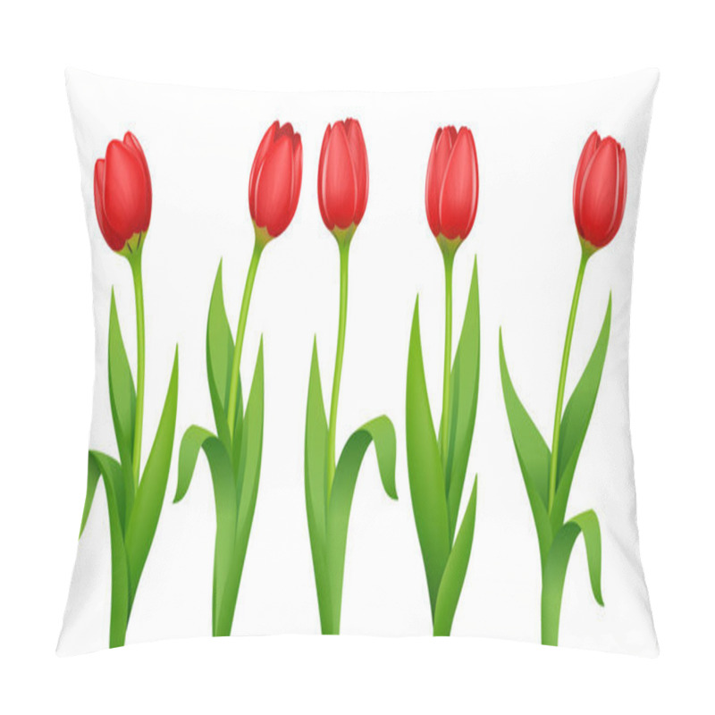 Personality  Tulip. Decorative Garden Spring Flower. Vector Illustration. Pillow Covers