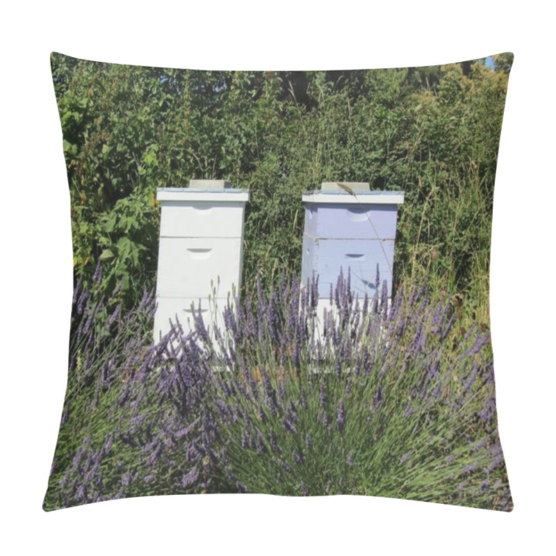 Personality  Beehives On Lavender Field. Sequim Valley, WA, USA Pillow Covers