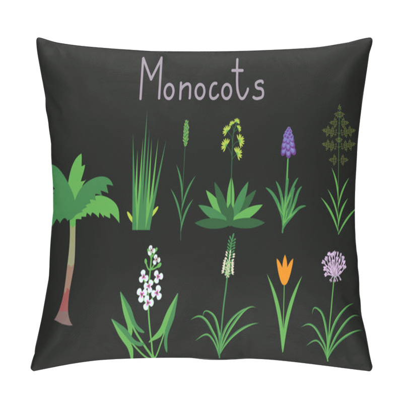 Personality  Exaples Of Monocots Pillow Covers