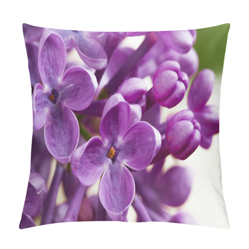 Personality  Macro Image Of Spring Lilac Violet Flowers Pillow Covers