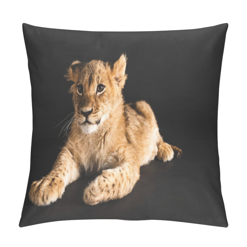 Personality  Adorable Lion Cub Lying Isolated On Black Pillow Covers