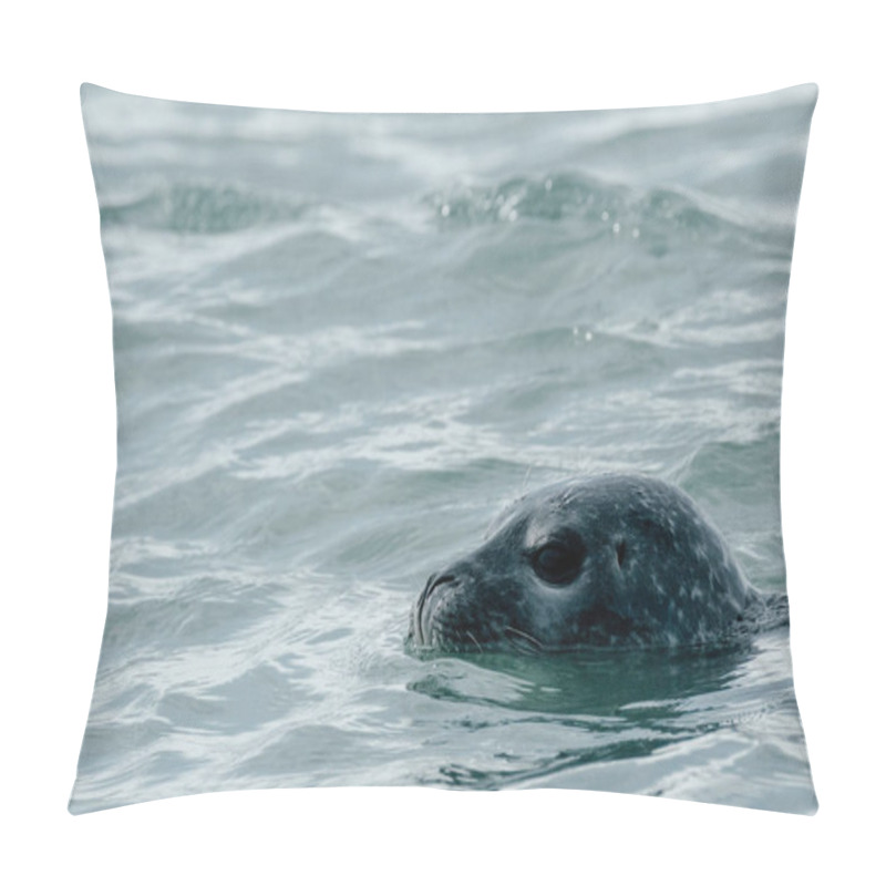 Personality  Close-up Of A Harbor Seal Swimming In The Waters Of Jokusarlon Glacier Lagoon, Southeast Iceland. Pillow Covers