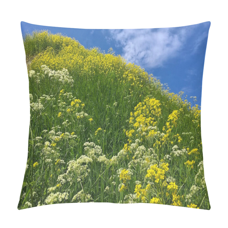 Personality  Pastoral Landscape Of Flowering Meadows. Pillow Covers