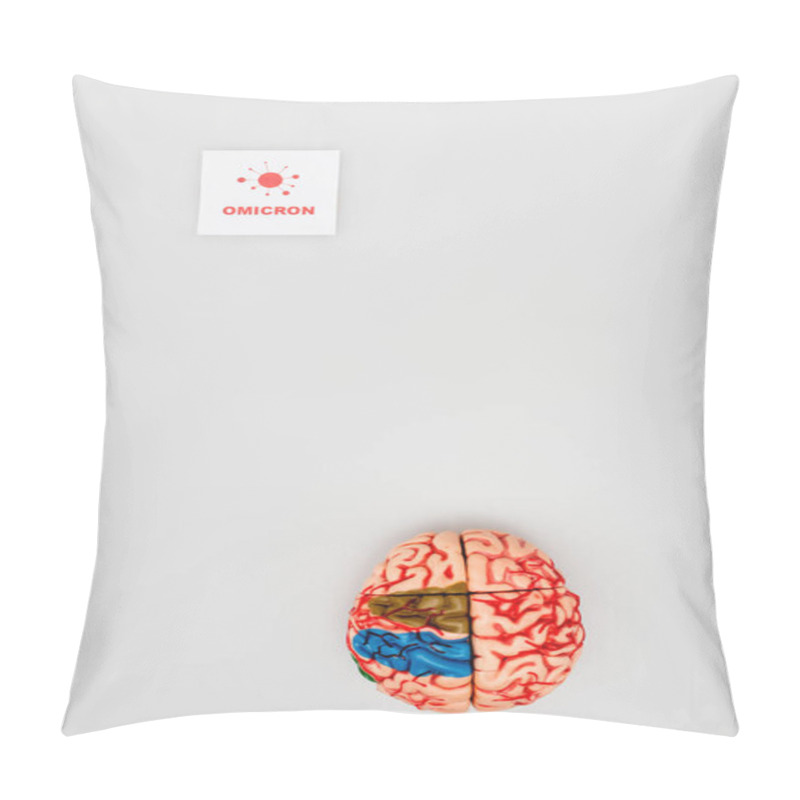 Personality  Top View Of Card With Red Omicron Lettering And Bacteria Near Brain Model On Grey Background Pillow Covers