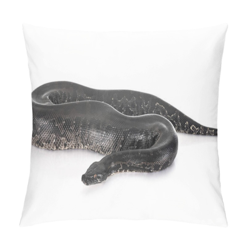 Personality  Python Black Curtus Pillow Covers