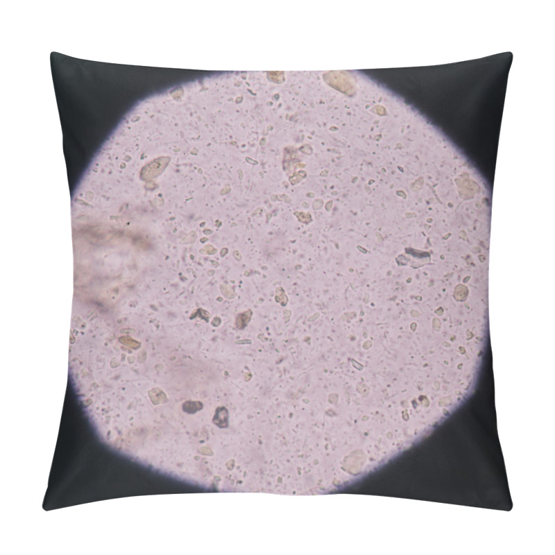 Personality  Bacteria In Urinary Tract Infections. Pillow Covers