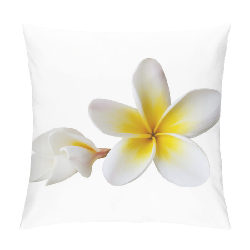 Personality  Plumeria (with Path) Pillow Covers