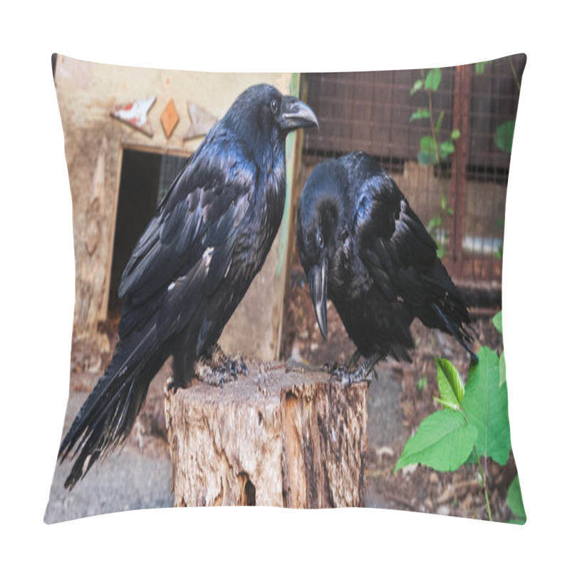 Personality  A Pair Of Ravens Pillow Covers