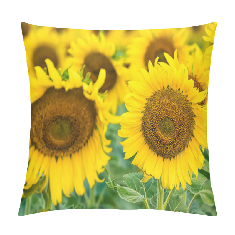 Personality  A Sunflower Field Captured In Perfect Detail, Highlighting The Brightness And Vivid Colors Of Each Blooming Flower Pillow Covers