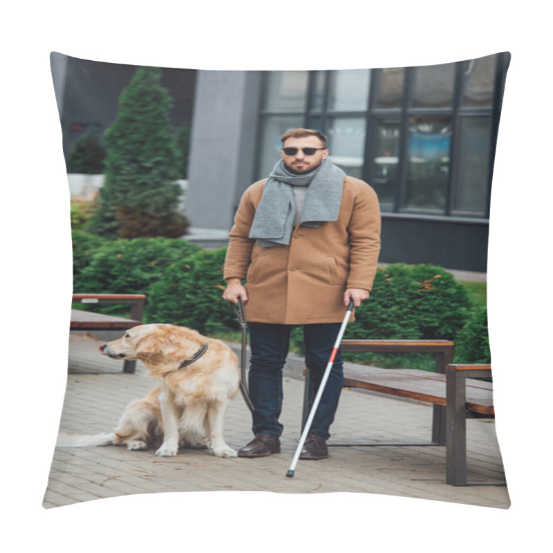 Personality  Blind Man With Walking Stick And Guide Dog In Park Pillow Covers