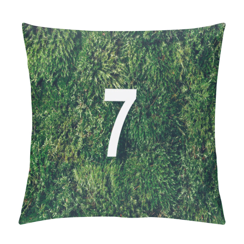 Personality  Ecology, Zero Waste. Green Grass And Digit Seven 7. Birthday Greeting Card. Anniversary Concept. Top View. Copy Space. White Numeral Over Eco Moss Background. Numerical Digit Pillow Covers