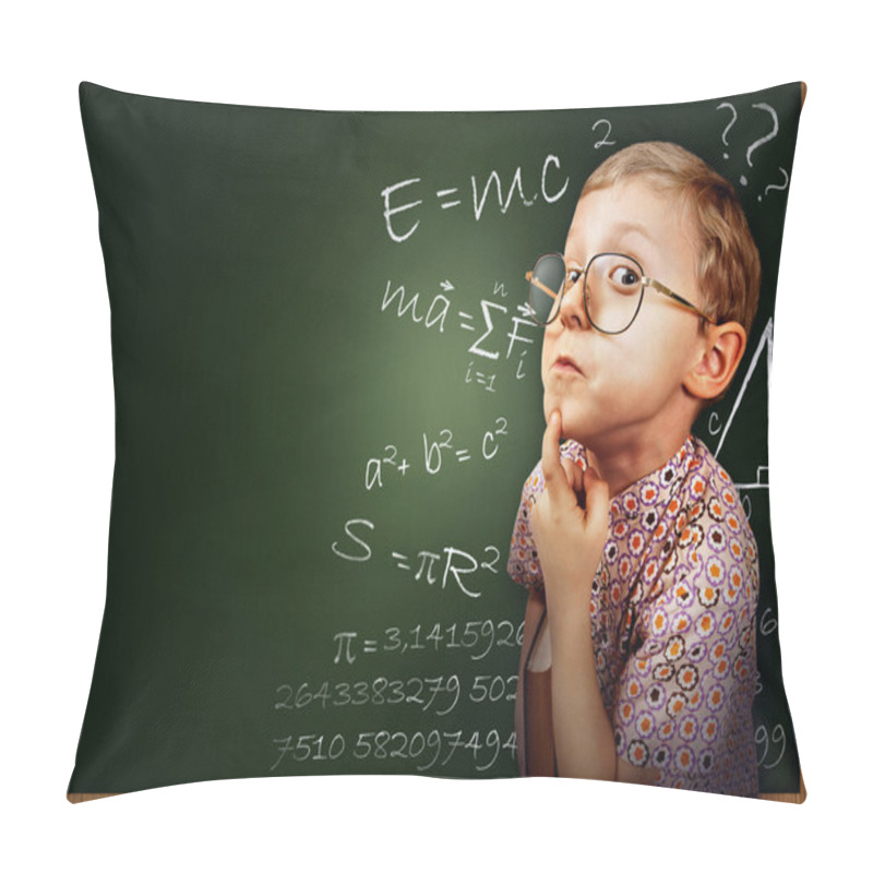 Personality  Clever Pupil Boy Portrait Pillow Covers