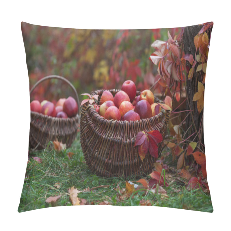 Personality  Fresh Harvest Of Apples. Autumn Gardening. Thanksgiving Day. Organic Red Apples In A Basket On The Old Table Pillow Covers