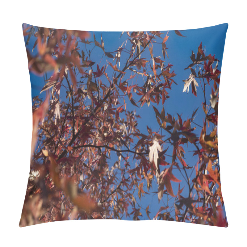 Personality  Red Autumn Leaves Background. Autumn Leaf. Orange Red Leaf Autumn Background. Autumnal Forest Background. Yellow Nature Background. Orange Leaf In Blue Sky. Autumn Leaves Plants Backdrop Pillow Covers