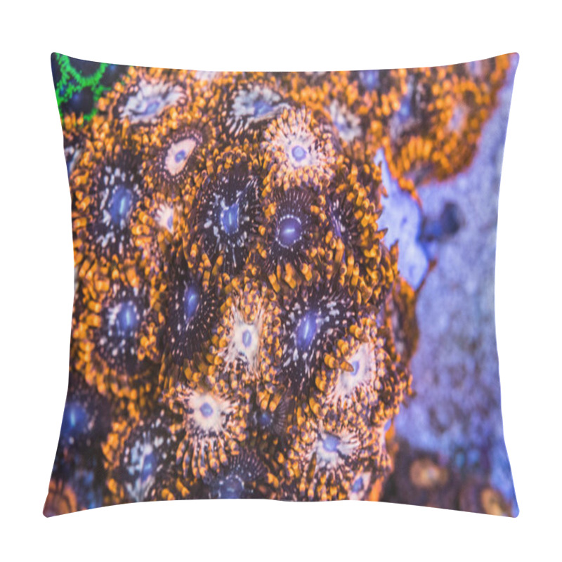 Personality  Coral Zoanthus Utter Chaos Pillow Covers