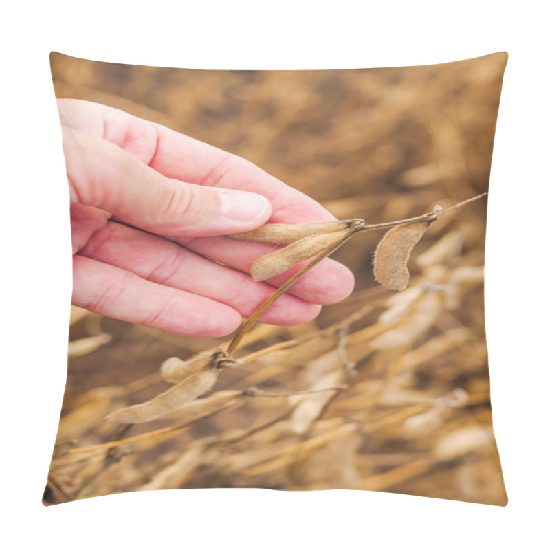 Personality  Farmer Hand In Harvest Ready Soy Bean Field Pillow Covers