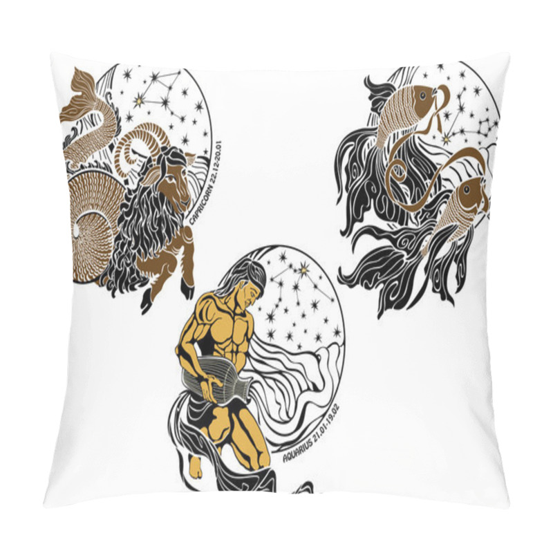 Personality  Capricorn,Aquarius,Pisces And The Zodiac Sign.Horoscope Pillow Covers