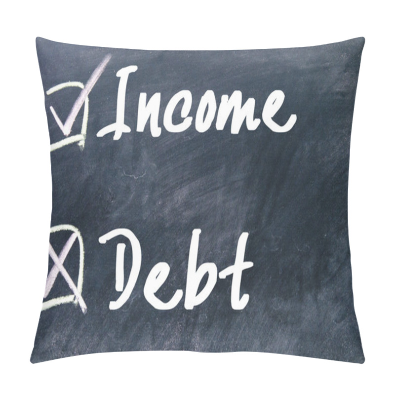 Personality  Income Or Debt Choice  Pillow Covers