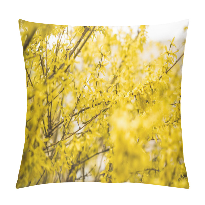 Personality  Spring Blossom And Flowers Of Various Trees Pillow Covers