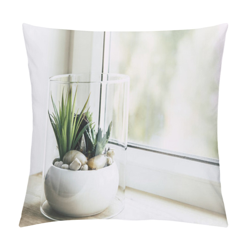 Personality  Small Modern Tabletop Glass Open Terrarium For Plants On Window Sill In Natural Light. Lot Of Copy Space. Selective Focus And Blur Bokeh Background. Pillow Covers