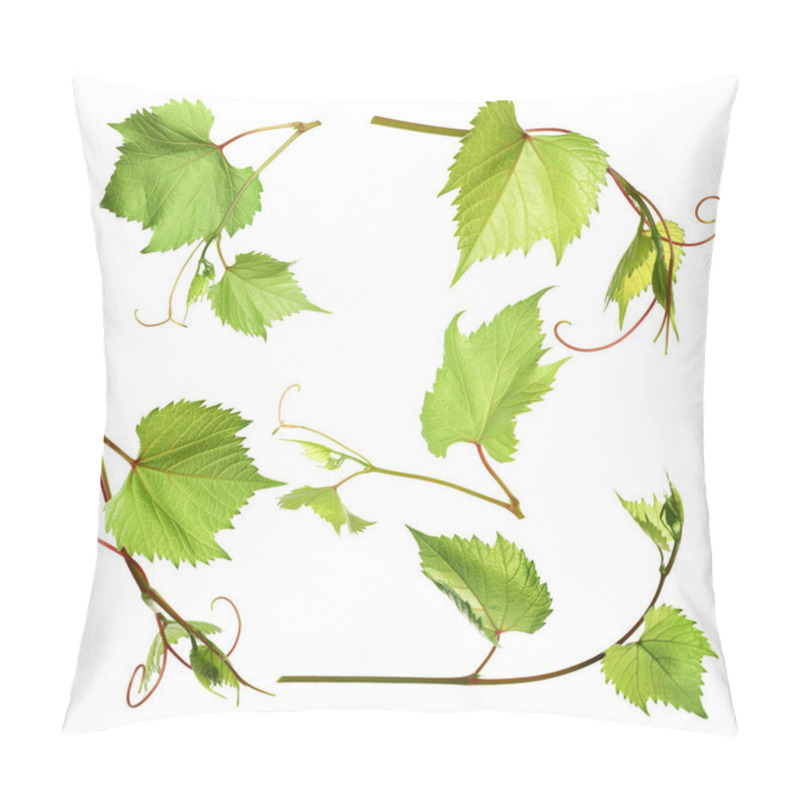 Personality  Set Of Grapevines With Green Leaves On White Background Pillow Covers